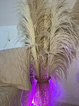 Celeste_Amber webcam