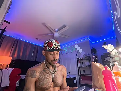 StillArQuez webcam