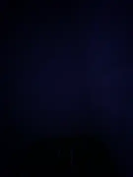 Frosl webcam