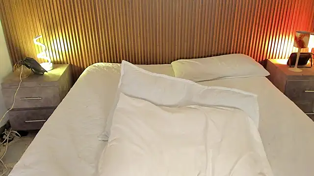 AndyWiilliams webcam