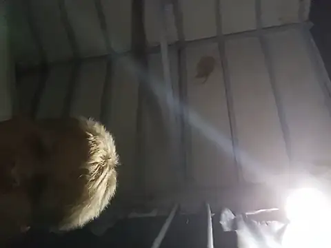 hairy_mannn webcam