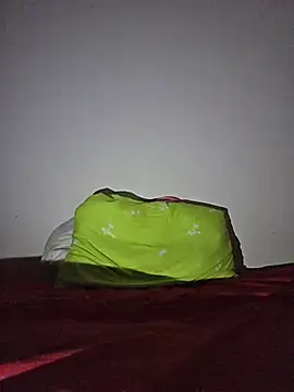 altinya webcam