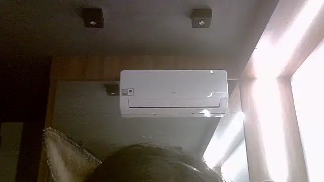 SkinnyKitten webcam