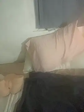 dkub93 webcam