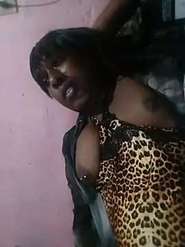 Modelo: Hellentrans24
