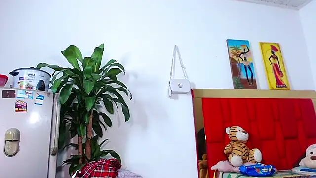 Shelet_Cooni_Ts webcam