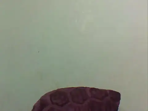 MAZINGDIVA1994 webcam