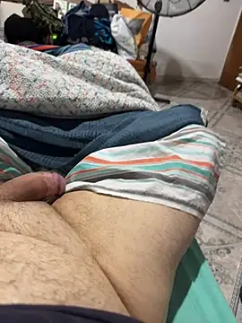 venteveo1 webcam