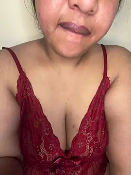 SpiceXSiren webcam