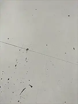 Pitercom webcam