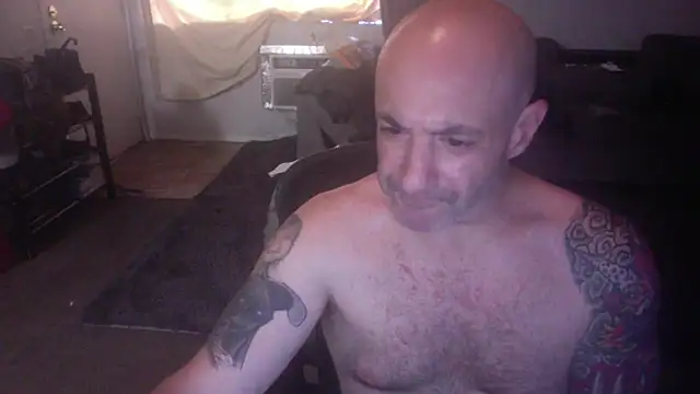 palidin1 webcam