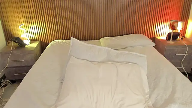 AndyWiilliams webcam