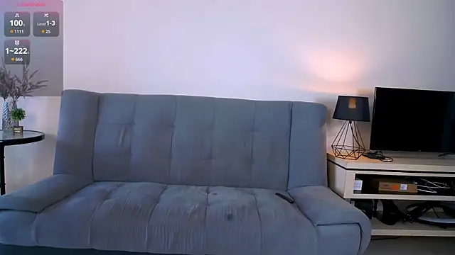 Erectioneering webcam