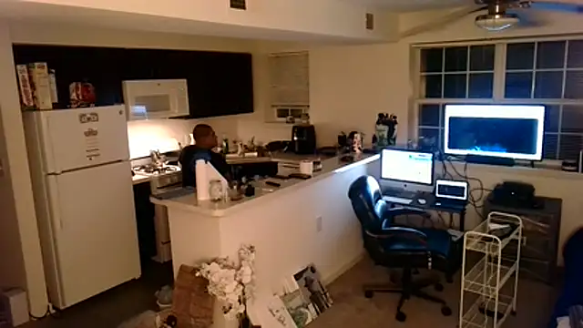 Q1357q webcam