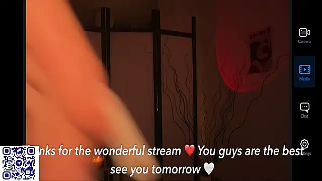 secrettape webcam