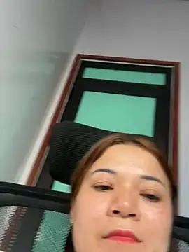 L_We webcam