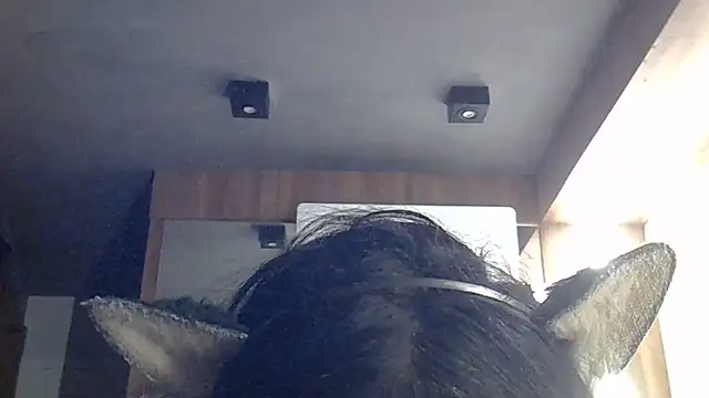 SkinnyKitten webcam