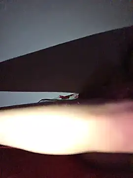 altinya webcam