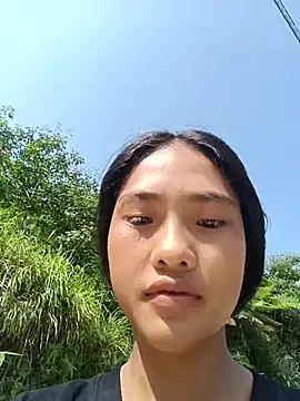 Hoa-tuylip webcam