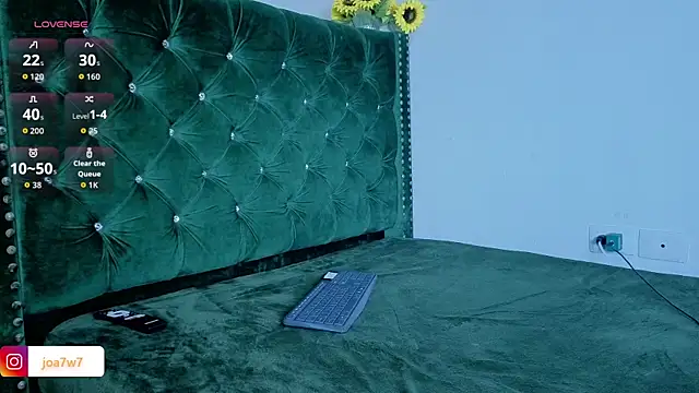 Levii_Ackermann webcam