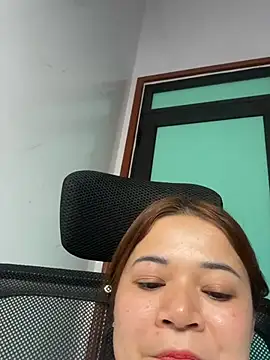 L_We webcam