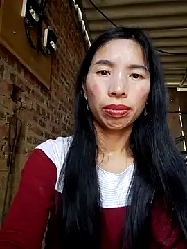 Tho-bibi webcam