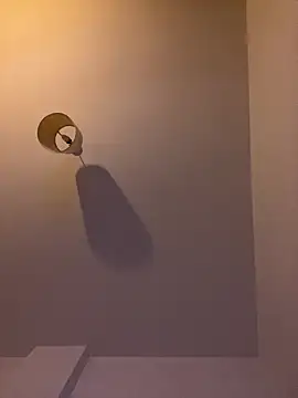 Z1uk webcam