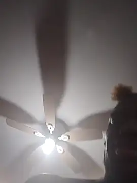 ReallyReallyReal webcam