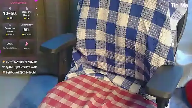 punemodel