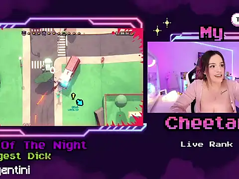 MyCheetara webcam