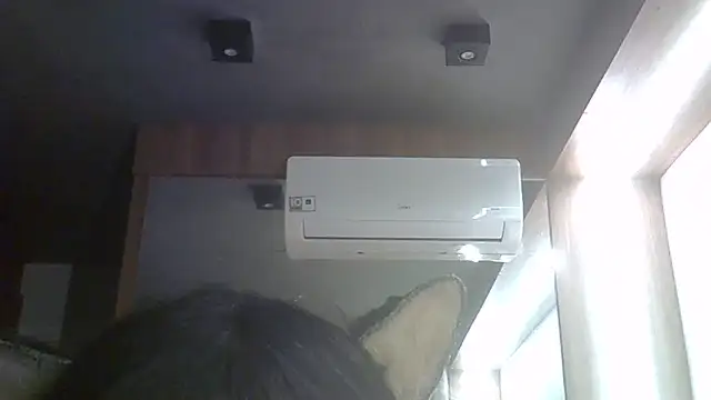 SkinnyKitten webcam