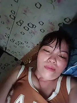 Sana-vn webcam