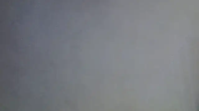 SkinnyKitten webcam