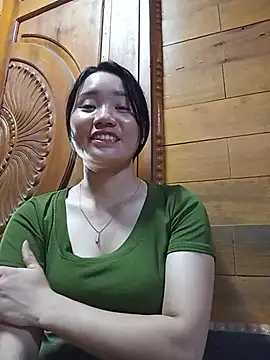 Td3di webcam