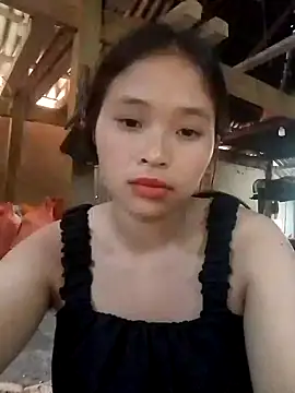 Liss-mimi webcam
