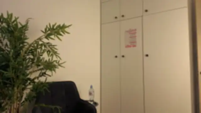 velanee webcam