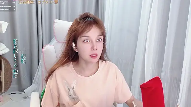 hi-AnAn webcam