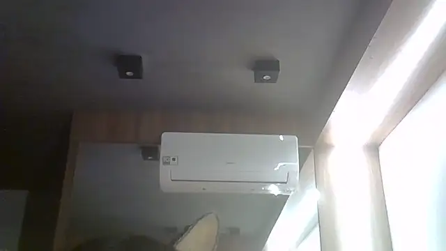 SkinnyKitten webcam
