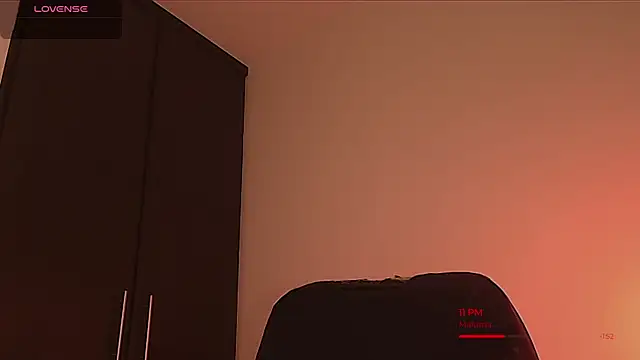 BjornSteel webcam