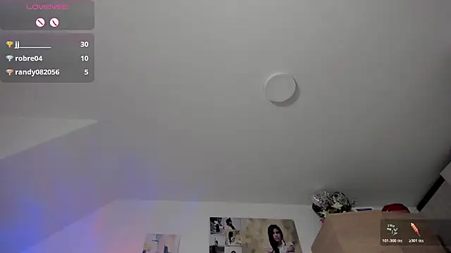 Veronikolsen- webcam
