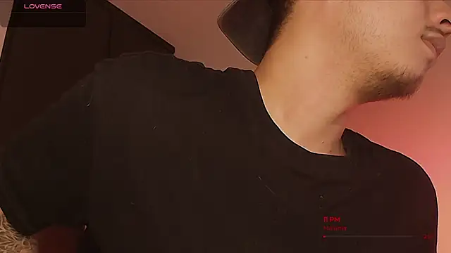 BjornSteel webcam
