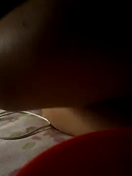 -Tara-a webcam