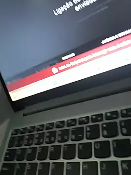 vinerj webcam