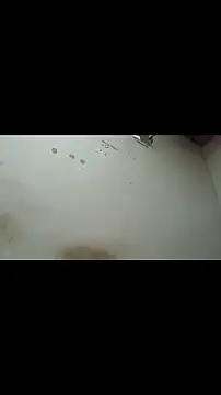 Single_lagunero webcam