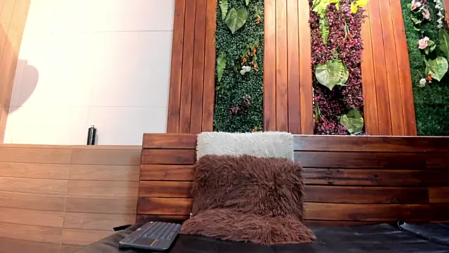 Pierre_Leroy_ webcam