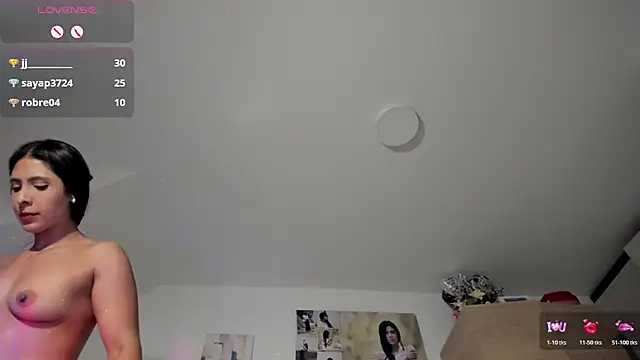 Veronikolsen- webcam