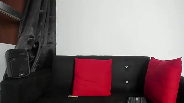 Onion_knight webcam
