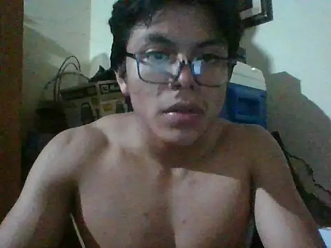 Elxdelvergon webcam