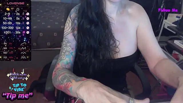 VenusX webcam