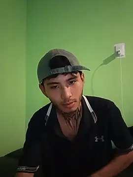355kl webcam